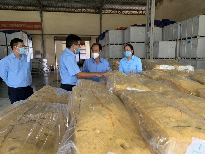 Chu kỳ mới xán lạn của cao su Tây Nguyên 